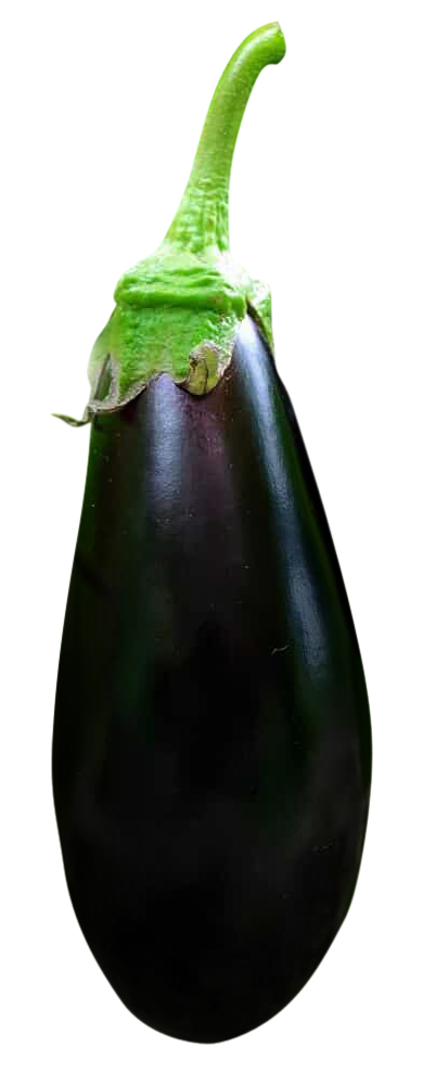 Eggplant image, Eggplant png, Eggplant png image, Eggplant transparent png image, Eggplant png full hd images download